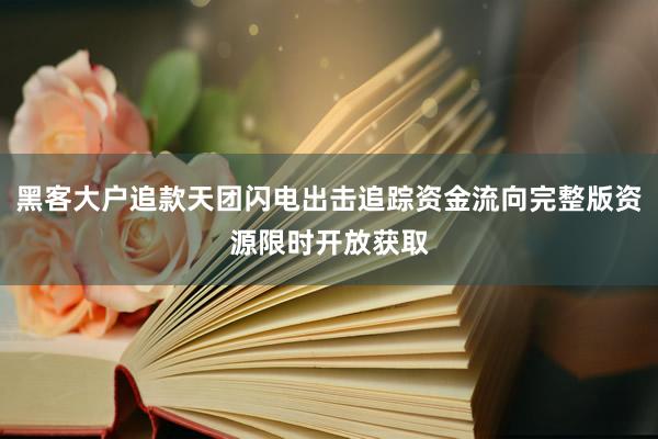 黑客大户追款天团闪电出击追踪资金流向完整版资源限时开放获取
